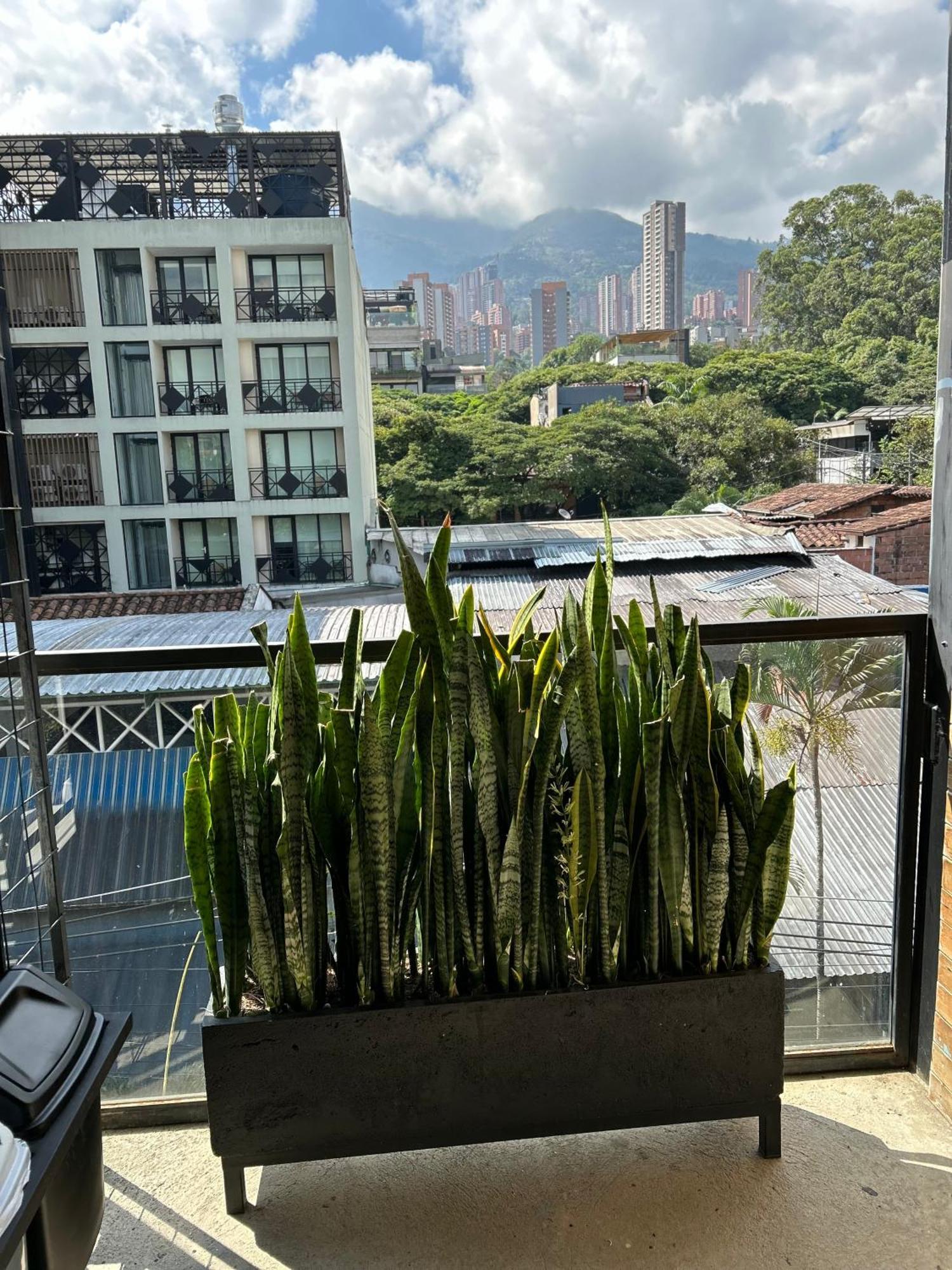 Hotel Lleras Medellín Buitenkant foto